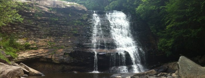 Swallow Falls State Park is one of Swimming Spots.