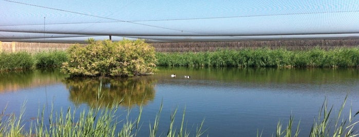 Parque Nacional Las Tablas de Daimiel is one of Castilla la Mancha.