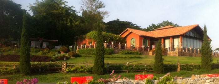 Silverlake Vineyard is one of Pattaya - Jomtien.