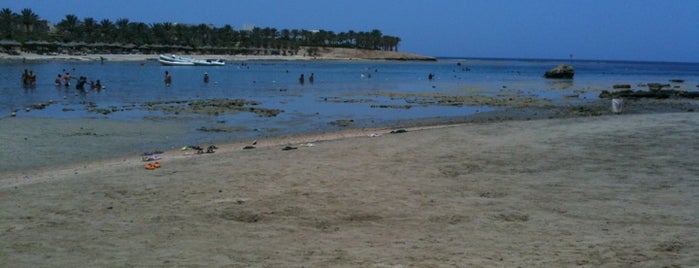 Brayka Bay Reef Resort is one of Marsa Alam .. The Pure Nature.