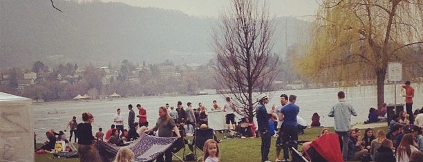 Zürichhorn is one of Best parks to run in Europe.