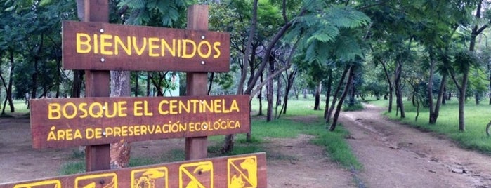 Bosque del Centinela is one of Ruta Zapopan.