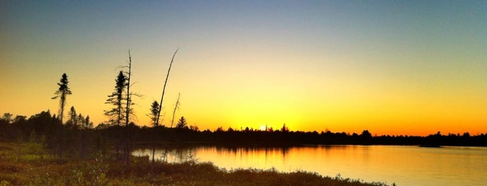 Torrance Barrens Dark Sky Conservation Area is one of Ontario Parks.