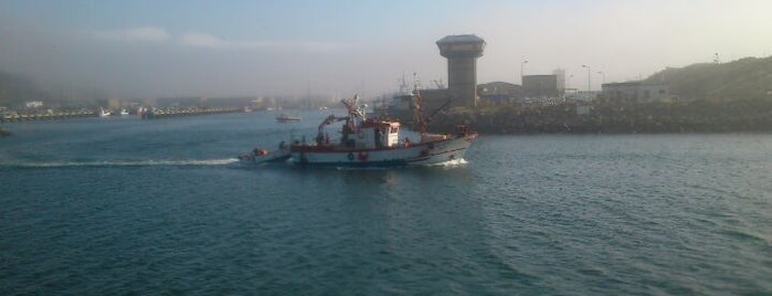 Porto de abrigo Nazaré is one of Orte, die Candice gefallen.