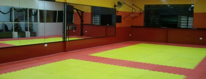 TSKF Academia de Kung Fu Lapa is one of Minha Vida.