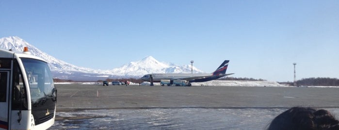 Yelizovo International Airport (PKC) is one of Petropavlovsk-Kamchatsky badge #4sqCities.