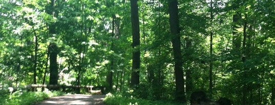 Forest Park is one of Lugares favoritos de Chris.