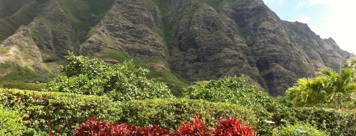 Kualoa Ranch is one of Real World Oahu fav's.