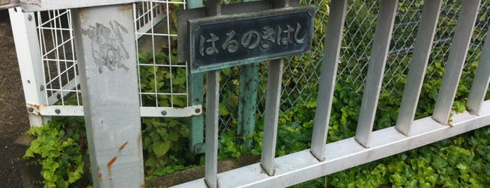はるのきはし is one of 帷子川に架かる橋と周辺の公園・史跡.