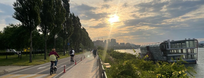 Jamsil Hangang Park is one of The 15 Best Places for Picnics in Seoul.