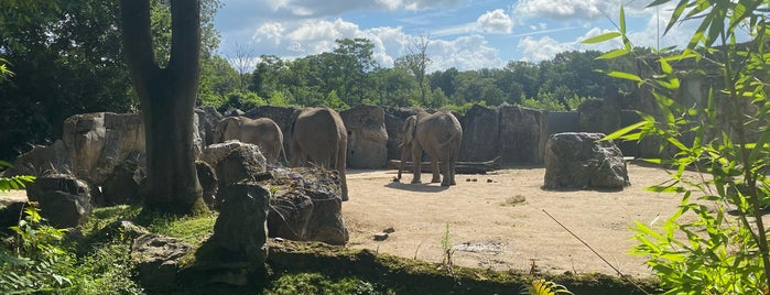 Zoo Duisburg is one of Anıl : понравившиеся места.