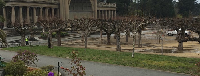 Golden Gate Park is one of Lieux qui ont plu à Zack.