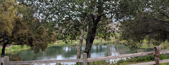 Overfelt Gardens Park is one of Martijnさんの保存済みスポット.