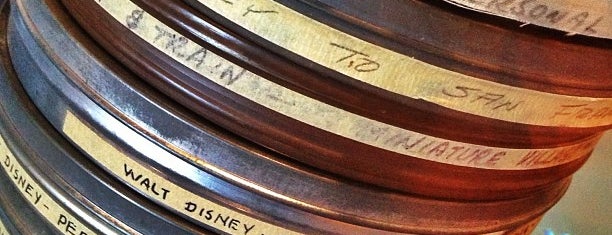 The Walt Disney Family Museum is one of SF.