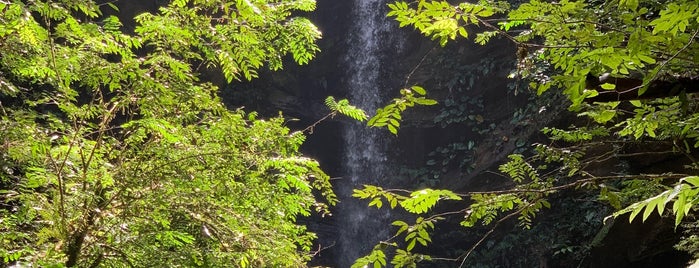 Avocat Falls is one of Road Trip Locations In Trinidad.