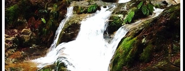 Sendeiro do río Fraga is one of Cangas e arredores..
