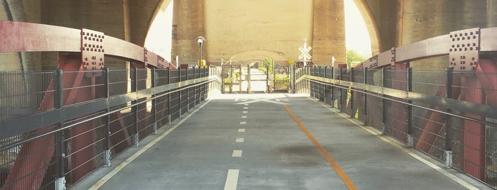 Randall's Island Connector is one of Eさんのお気に入りスポット.