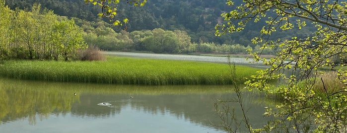 Kovada Gölü Milli Parkı is one of Akdeniz gezisi 2019.