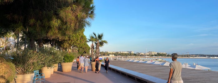 Boulevard de la Croisette is one of Nice- Cannes- monaco.