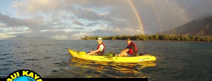 Maui Kayak Adventures LLC is one of Maui.