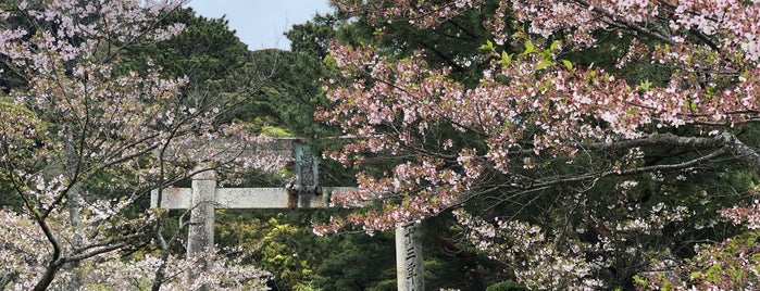 Ruins of Hagi Castle / Shizuki Park is one of 日本 100 名城.