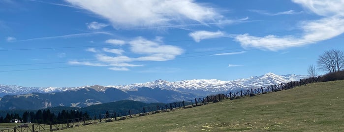 Kulakkaya Yaylası is one of Giresun'da.