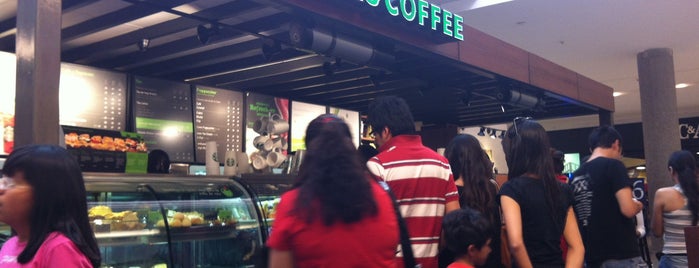 Starbucks is one of Coffe.