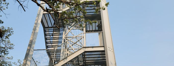 Walter Scott Jr. Observation Tower is one of Favorite Great Outdoors.