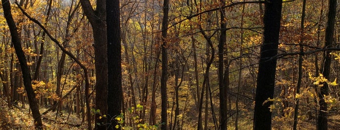 Ledges State Park is one of Great places to get moving in Des Moines!.