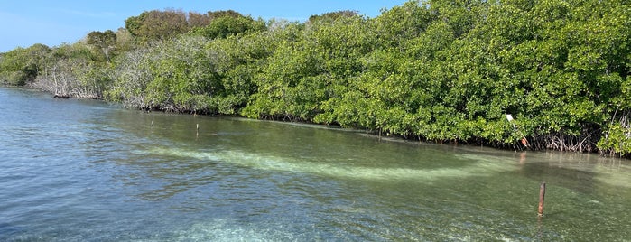 Isla Grande is one of Lieux qui ont plu à Felipe.