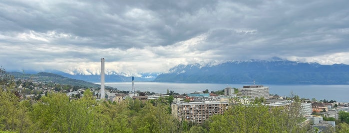 Signal de Sauvabelin is one of Lausanne/Genf.