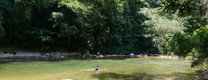 El Refugio Rio Claro - Reserva Natural is one of Medellin.