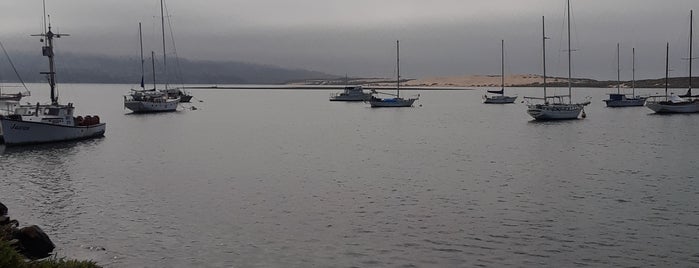 Morro Rock State Natural Preserve (Morro Rock) is one of Tempat yang Disukai L.D.