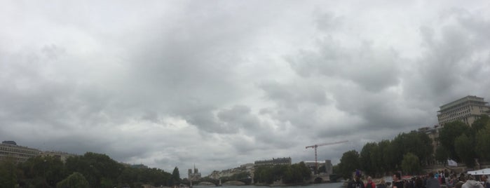 La Seine is one of สถานที่ที่ Nikita (my Alter) ถูกใจ.