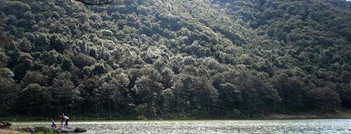 Presa De Peralillo is one of Guanajuato.