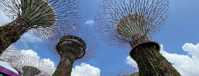Supertree Grove is one of Singapore.