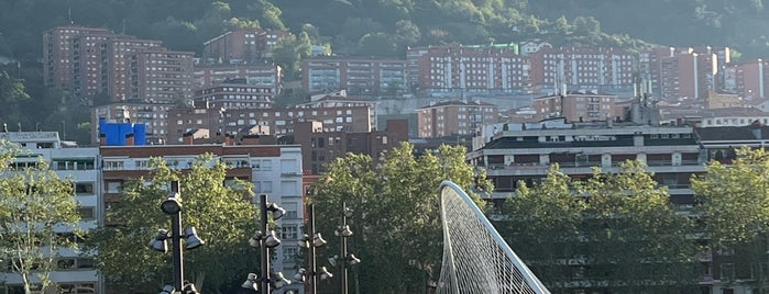 Pasarela Zubizuri is one of Bilbao.