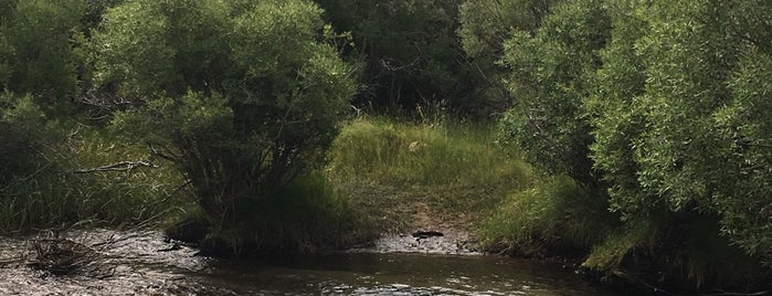 Bishop Creek Recreation Area is one of Outdoors.