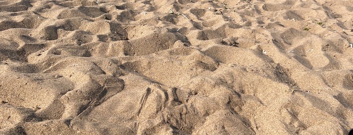 Doğancılı Beach is one of Beykoz-Polonezköy-Şile.