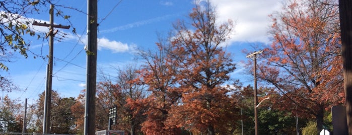 TCS NYC Marathon Start Line is one of Locais curtidos por Marco AG.