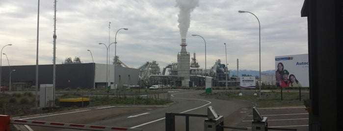 Paneles Arauco ( Planta Teno ) is one of Miguel : понравившиеся места.