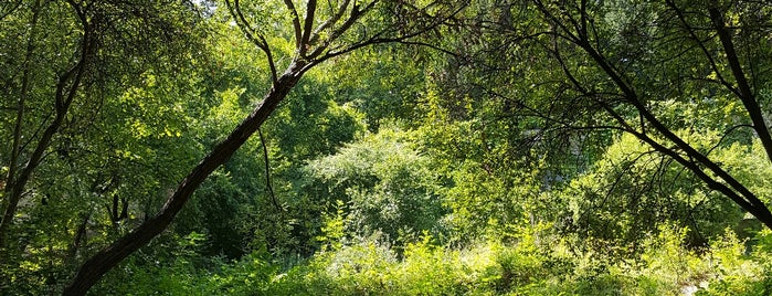 Jardin Naturel is one of free Paris places!.