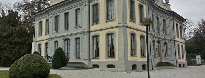 Musée de l'Élysée is one of Swiss Museum Pass.
