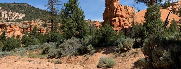 Red Canyon is one of USA Road Trip 2019.