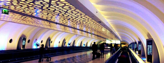 Международный аэропорт Абу-Даби (AUH) is one of Dubai and Abu Dhabi. United Arab Emirates.