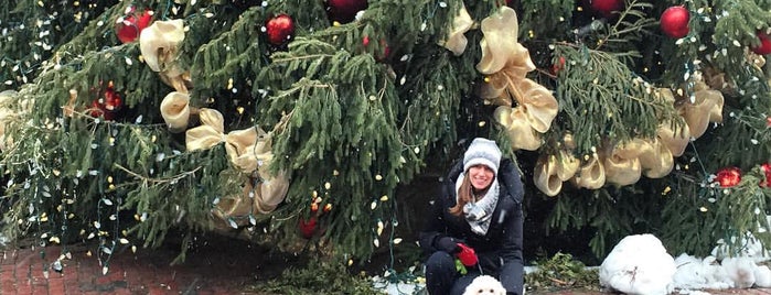 Toronto Christmas Market is one of Best of Toronto.