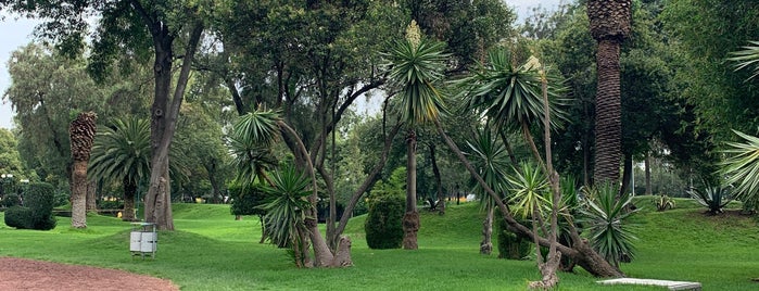 Jardines del CNA is one of Escenarios Fotográficos.