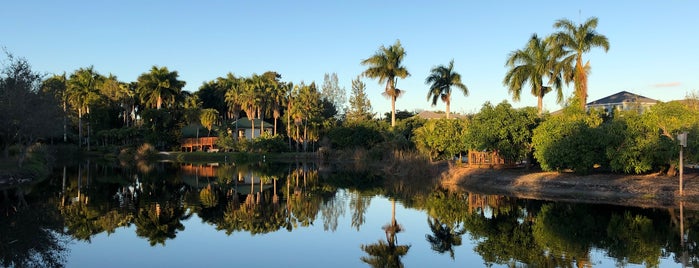 Palma Sola Botanical Park is one of TropiCreek.
