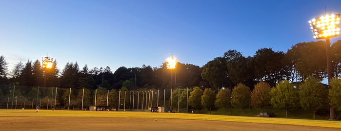 八王子陵南公園野球場 is one of baseball stadiums.