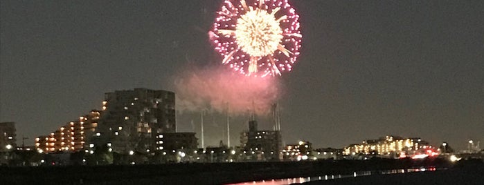 Chofu Fireworks Festival is one of スポット.